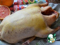 ���� "����������" �����������