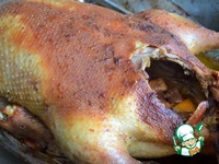 ���� "����������" �����������