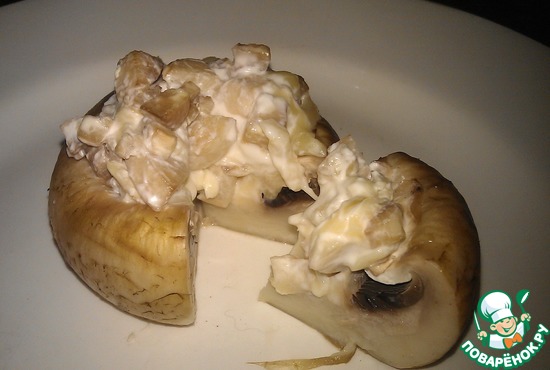 ���������� �������������, ����������