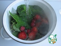 ��������� ��� �����������