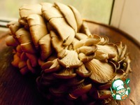 ������� ���������� � ������� �������� �����������