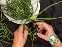 ������� ������� ������� �� �������� �����������