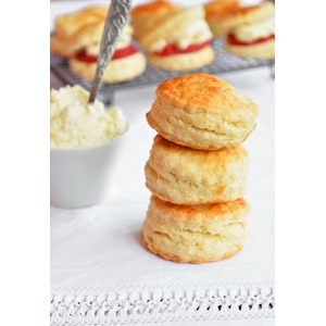 ������������ ����� �� ������� ���� �����