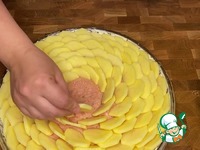 ������ �������� �����������