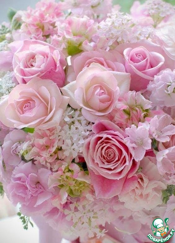 ����������� �������� Himbeeren � ���� ��������!