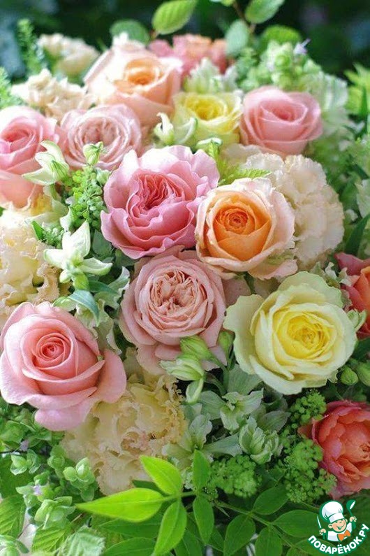 ����������� ������ �������� � ���� ��������!