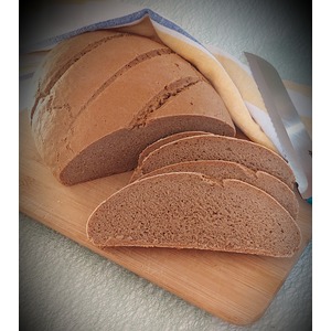 ������ ����