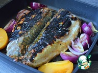 ������� ��������-����� �����������