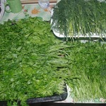 ��������� ������ �� ����