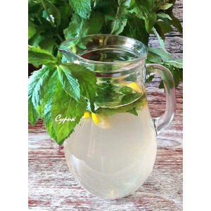 ������� "��������"