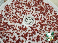 ��������� ������� �����������