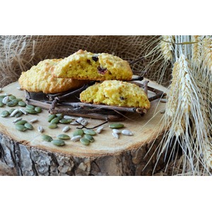 ������-��������� �������