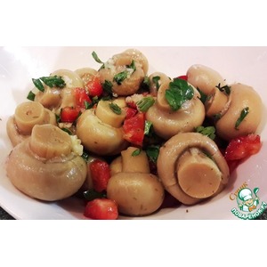 ������������ ����������