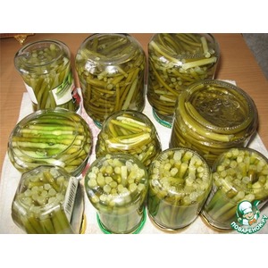 ������������ ��������� �������