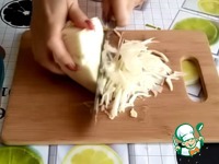 ����� ������� ��������� ������ �����������