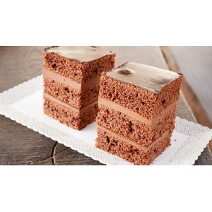 ���� "�������� ���������"