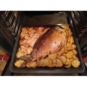 ������������� ���� � �������