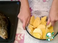 ������������� ���� � ������� �����������