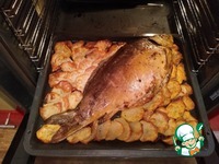 ������������� ���� � ������� �����������