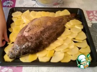 ������������� ���� � ������� �����������