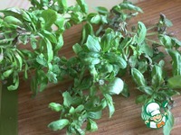 ������ �� ������ � ����� � �������� �����������