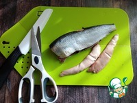 ������ � ������� � ����� �����������