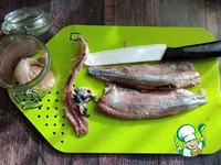 ������ � ������� � ����� �����������