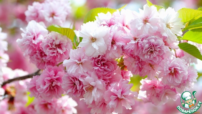 ����������� ������ (Navely) � ���� ��������!