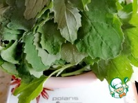 ���������� ����� "��������" �����������