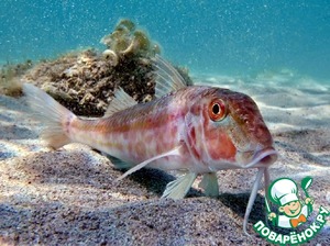 Барабулька … жареная и копчёная