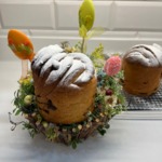 ������ ����� "�������"