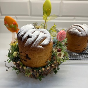 ������ ����� "�������"