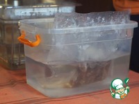 ������ ������ ����� �����������