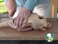 ���� � ������ ����� �� ������� 1863 ���� �����������