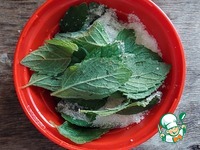 ������ � ��������� � ������ ������ �����������