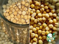 ��� �� ������ ������ � ������ �����������