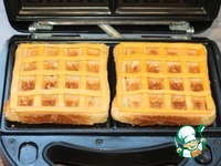 ����� ���������-������ �����������