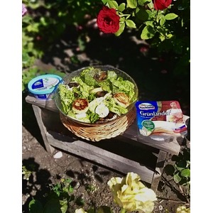 ����� � ���������