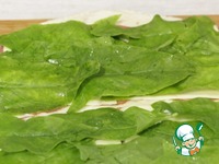 �������� � ����� � ������ �����������