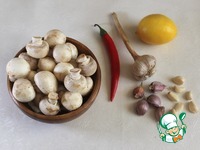 ����� � �������� �����������