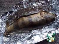 ��������-���� � �������� �����������