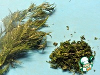 ����� �� ��������� � ����� � �������� �����������