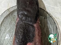 ������� � ������� ������� ���� �����������