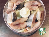 ���������� ���������� � ������� �����������