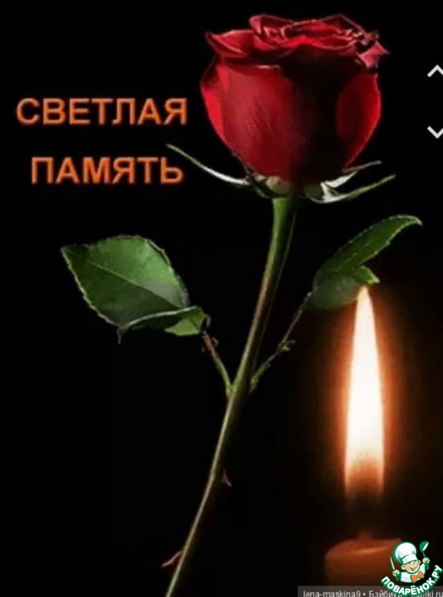 ������� �������� ������ Seagull_L