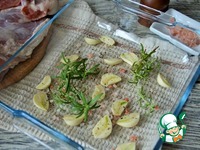 �������� � ���������� � �������� �����������