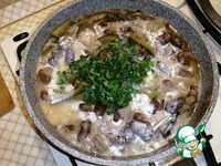 �������� � ������� �����������