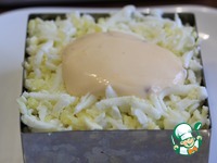 ����� "������" �� ������ �����������