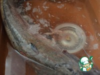 ��� ���������� �����������