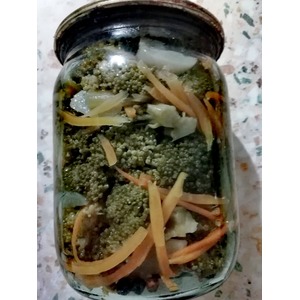 ������������ ��������